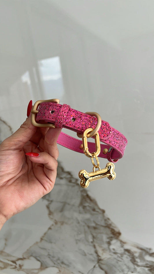Connor pet collar