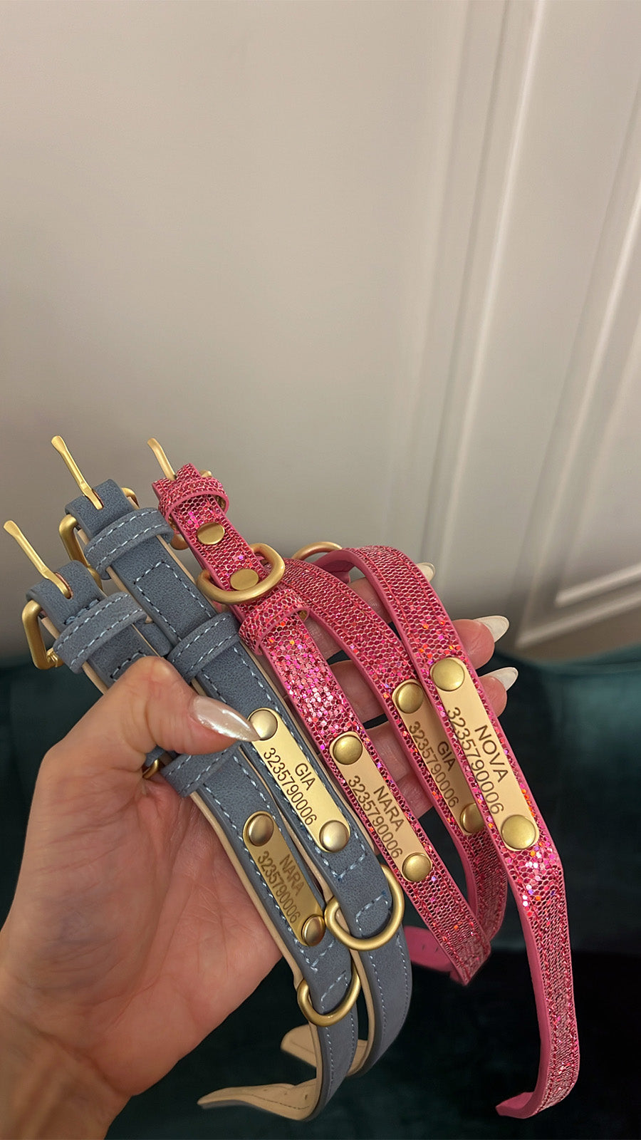 Connor pet collar