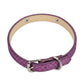 Collar para mascotas Gian de Maison Caviar, resistente y elegante, muestra detalles de diseño en cuero con hebilla ajustable.