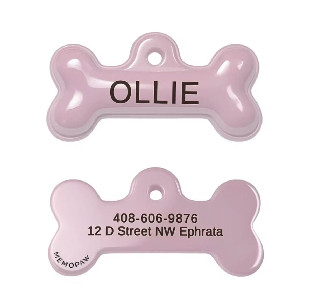 Collar para mascota Ollie de Maison Caviar con plaquita decorativa, en color beige y con detalles elegantes.