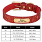 Connor pet collar