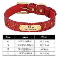 Connor pet collar