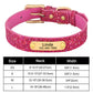 Connor pet collar