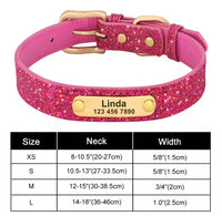 Connor pet collar