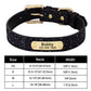 Connor pet collar