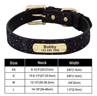 Connor pet collar