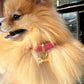 Collar para mascota Ollie de Maison Caviar con placa grabada, en color negro con detalles elegantes y cierre ajustable.
