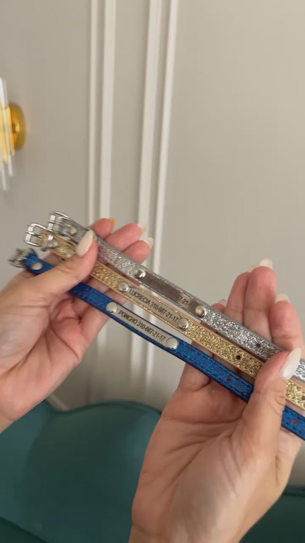 Video del collar para mascotas Gian de Maison Caviar